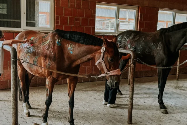 Mädchen bemalt Pferd mit Fingerfarbe und macht eine tierpädagogische Erfahrung