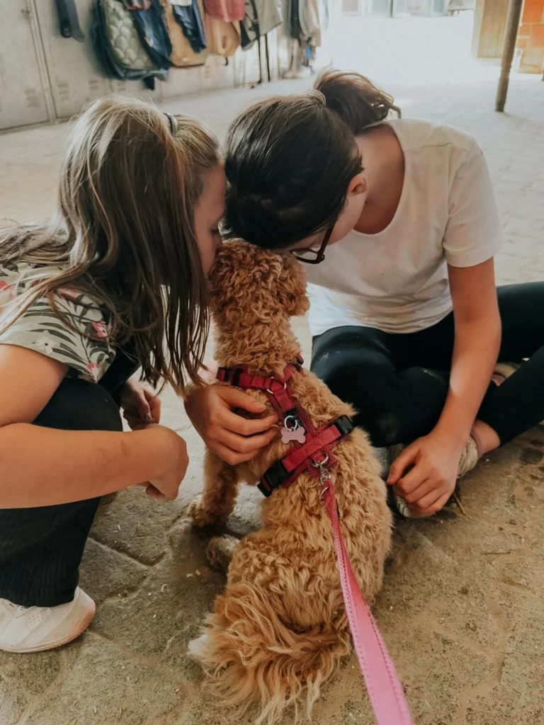 Zwei Mädchen kuscheln einen Hund