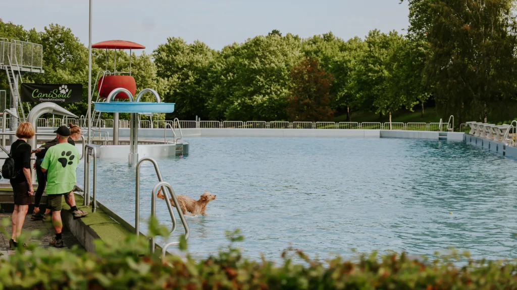 Hundeschwimmen im Freibad Herzogenrath